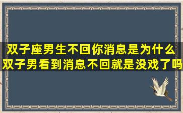 双子座男生不回你消息是为什么 双子男看到消息不回就是没戏了吗
